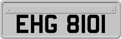EHG8101