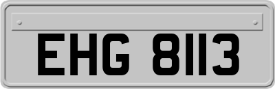 EHG8113