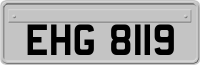 EHG8119