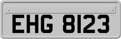 EHG8123