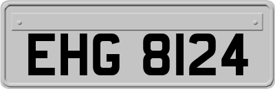 EHG8124