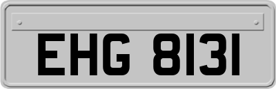 EHG8131