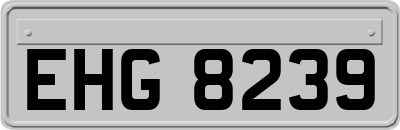EHG8239