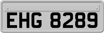 EHG8289