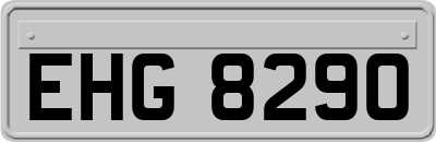 EHG8290
