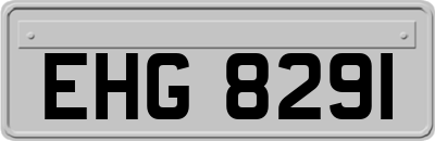 EHG8291