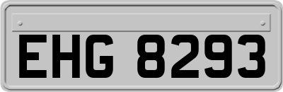 EHG8293
