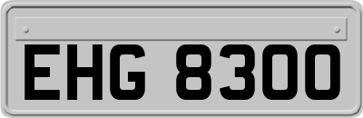 EHG8300