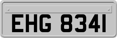 EHG8341