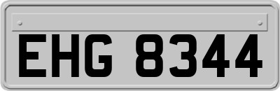 EHG8344