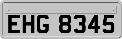 EHG8345