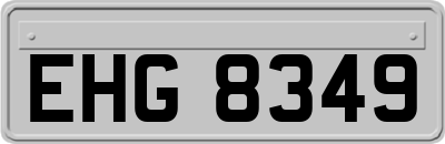 EHG8349
