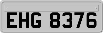 EHG8376