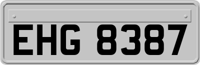 EHG8387