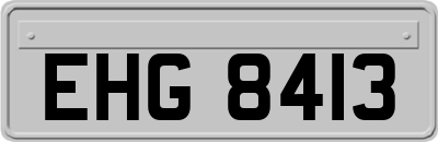 EHG8413