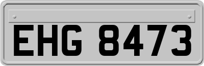 EHG8473