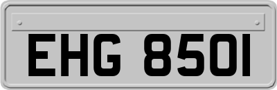 EHG8501