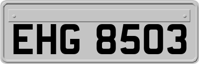 EHG8503