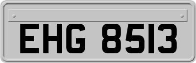 EHG8513