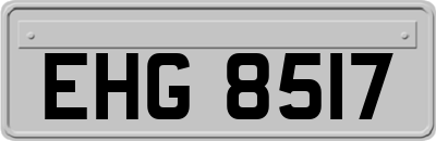 EHG8517