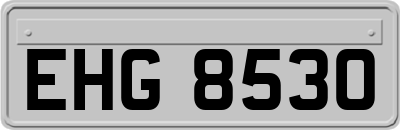 EHG8530