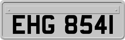 EHG8541