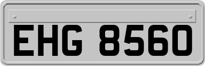 EHG8560