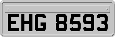 EHG8593