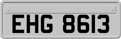 EHG8613