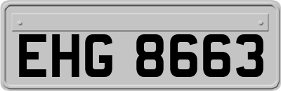 EHG8663