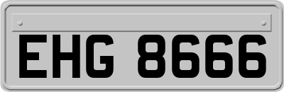 EHG8666