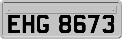 EHG8673