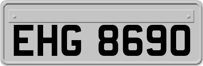 EHG8690