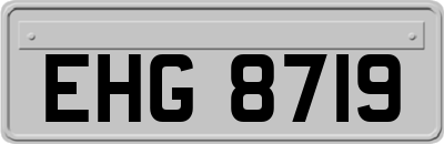 EHG8719