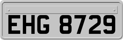 EHG8729