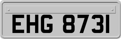 EHG8731