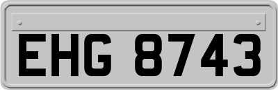 EHG8743