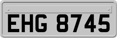 EHG8745