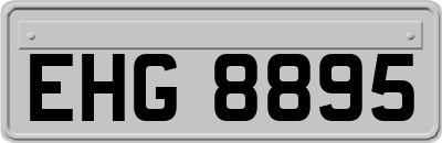 EHG8895