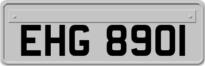 EHG8901