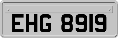 EHG8919