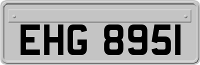 EHG8951