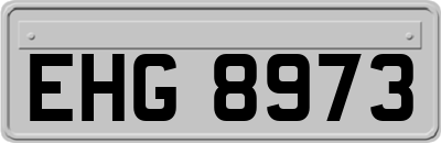 EHG8973