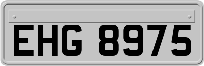 EHG8975