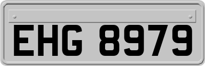 EHG8979