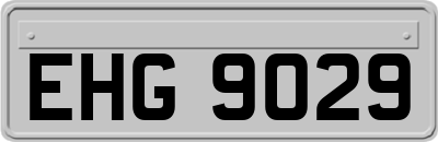 EHG9029