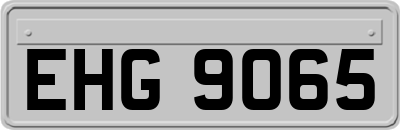 EHG9065