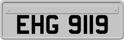 EHG9119
