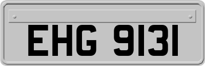 EHG9131