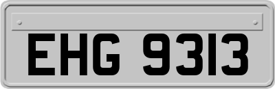 EHG9313